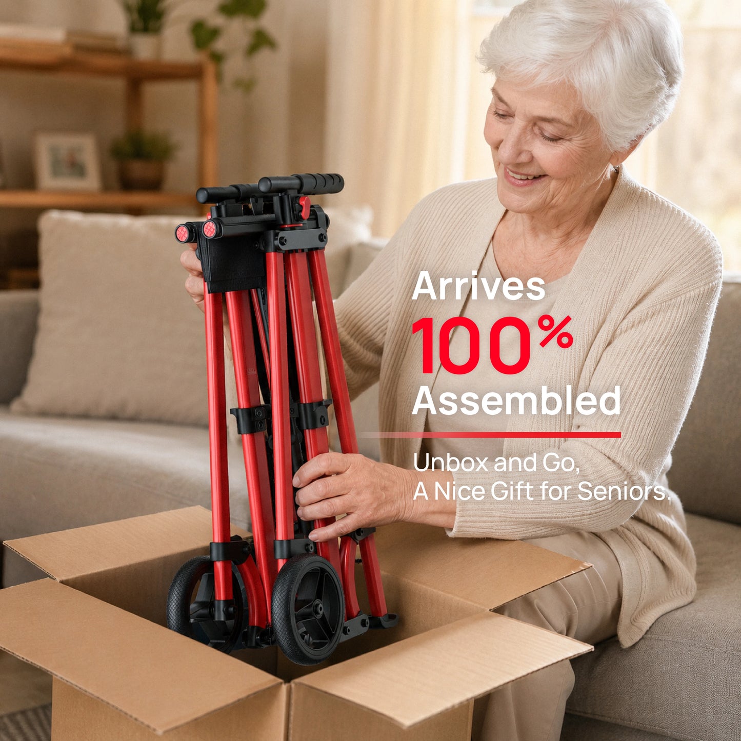 Compact Master 2-Wheel Walker with Seat - Lightweight, with 2 Glide Skis