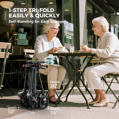 Compact Master Rollator Walker