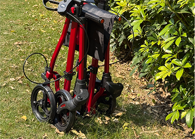 Lisa, Florida's review