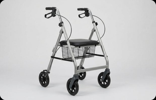 Traditional walker (placeholder)